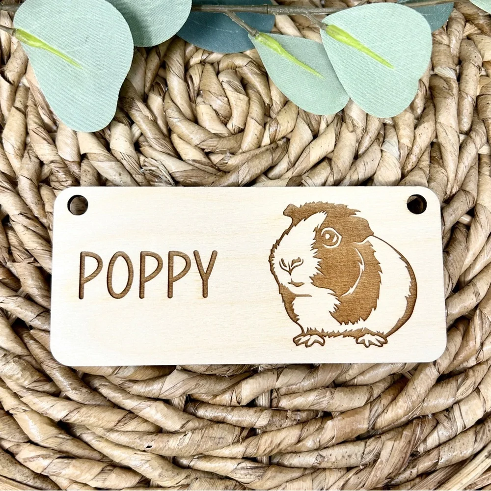Personalized Guinea Pig Cage Tag, Custom Pet Name Sign & Decor, Cage Decor